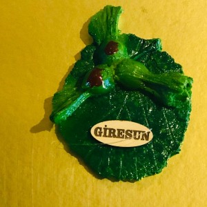 GİRESUN MAGNET