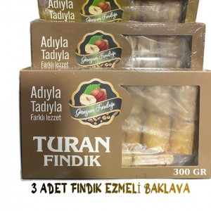 3 ADET FINDIK EZMELİ KURU BAKLAVA