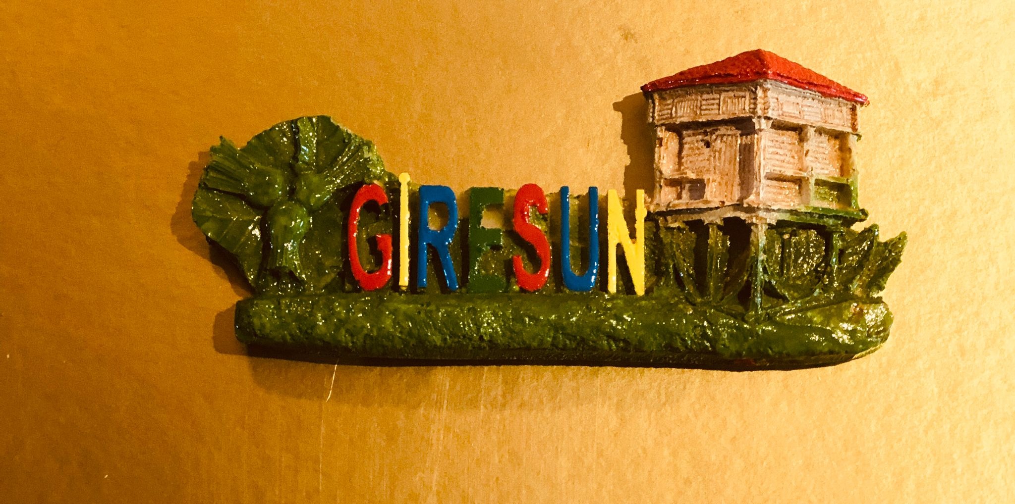 GİRESUN MAGNET