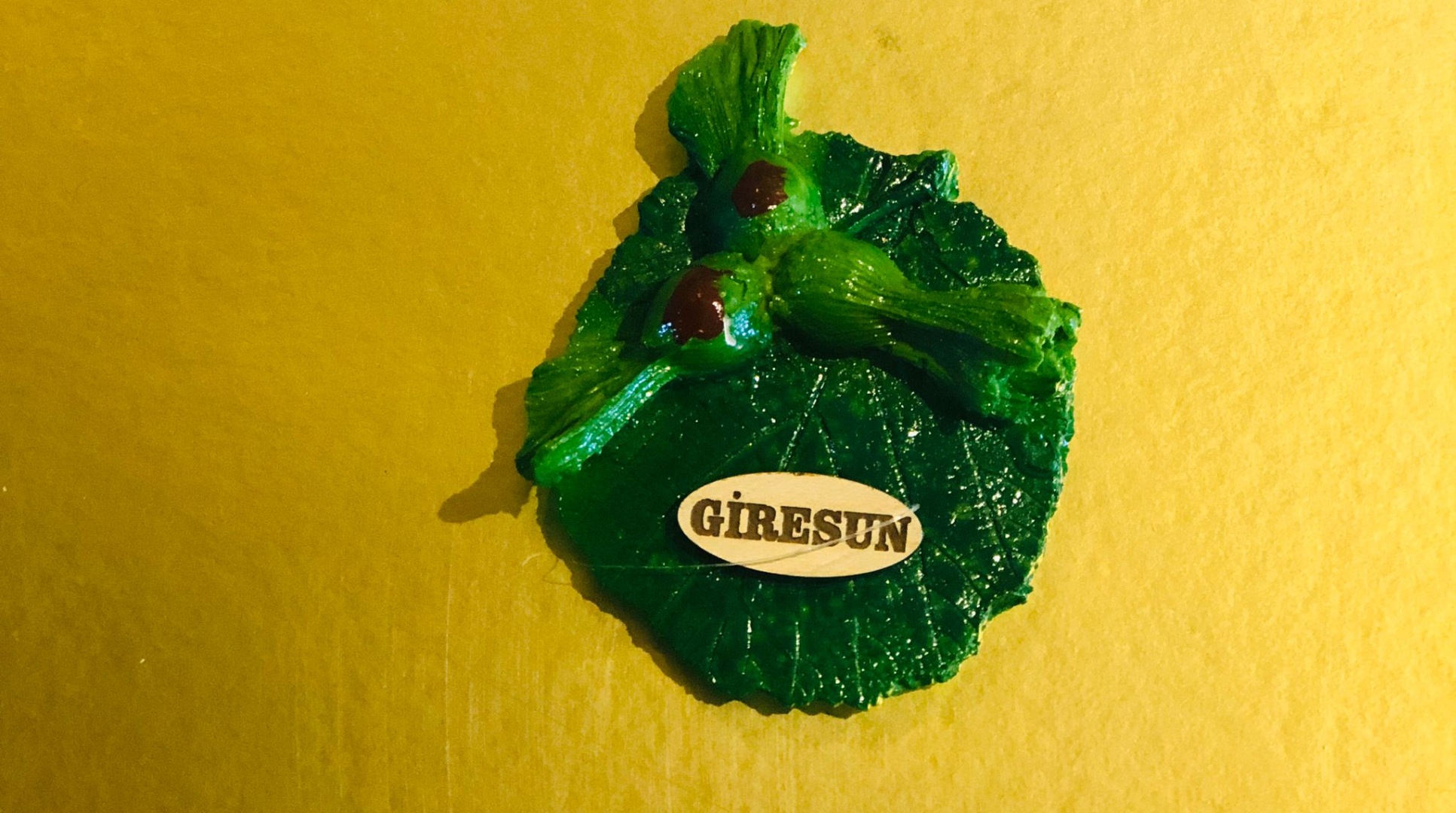 GİRESUN MAGNET